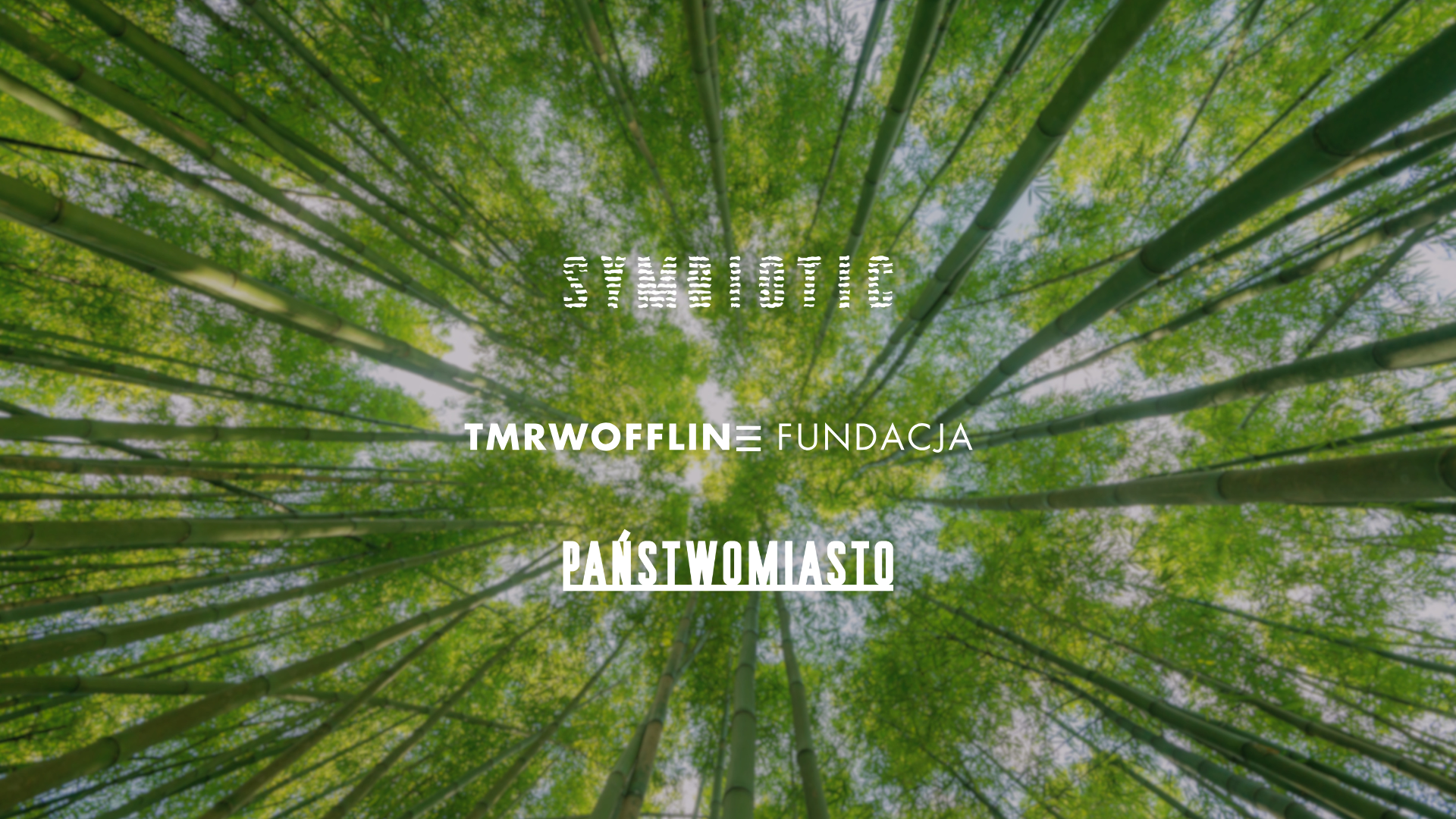 Majówka Offline – półkolonie dla dorosłych